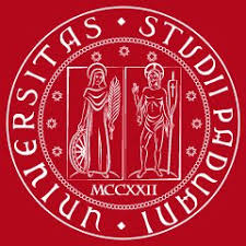 University of Padova - Heidelberg University